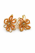 Boucles Bloom